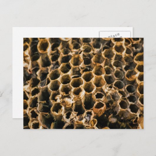 Empty Nest Postkarte (Vorne/Hinten)