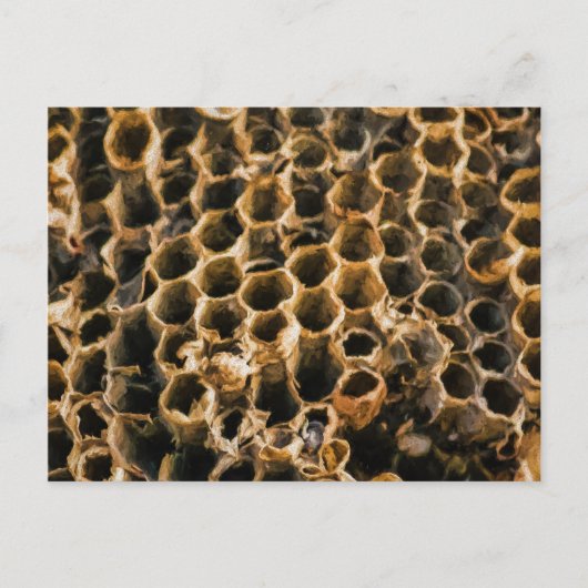 Empty Nest Postkarte (Vorderseite)