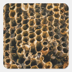 Empty Nest Quadratischer Aufkleber