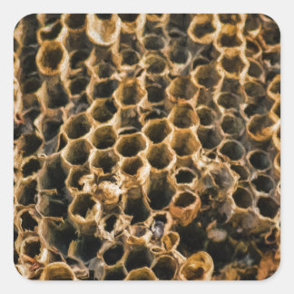 Empty Nest Quadratischer Aufkleber