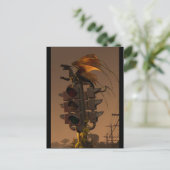 Empty Rage von J. Matthew Root Postkarte (Stehend Vorderseite)