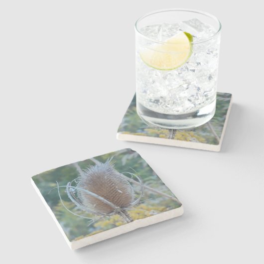 Empty Teasel Steinuntersetzer (Seitenansicht)