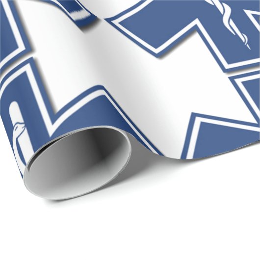 EMS GESCHENKPAPIER (Rolleneckpunkt)