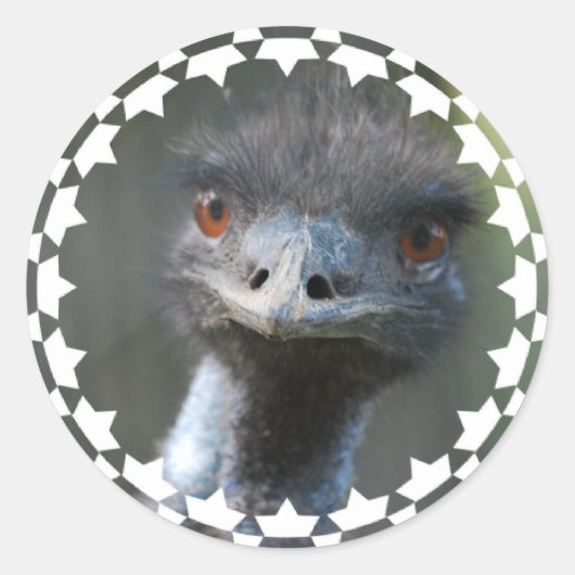Emu-Aufkleber Runder Aufkleber (Vorderseite)