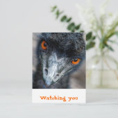 Emu-Beobachtung Postkarte (Stehend Vorderseite)