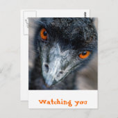 Emu-Beobachtung Postkarte (Vorne/Hinten)