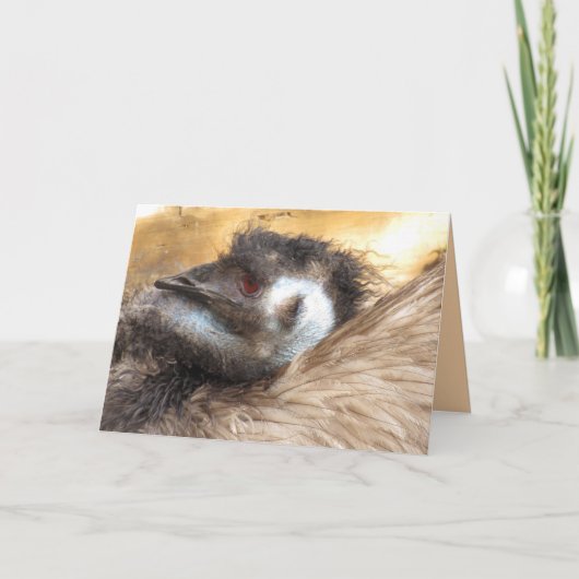 Emu Bird Grußkarte Karte (Vorderseite)