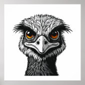 Emu bird head poster (Vorne)