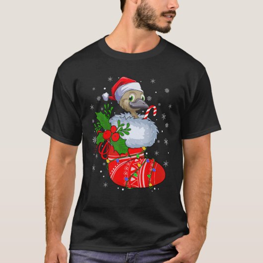 Emu Bird in den Weihnachtssocken Lights Santa Emu  T-Shirt (Vorderseite)