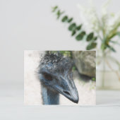 Emu Bird sieht dich an Postkarte (Stehend Vorderseite)