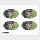 Emu Bird Stickers (Blatt)
