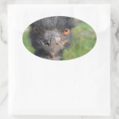 Emu Bird Stickers (Tasche)