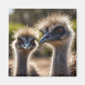 Emu Birds Magnet (Vorne)
