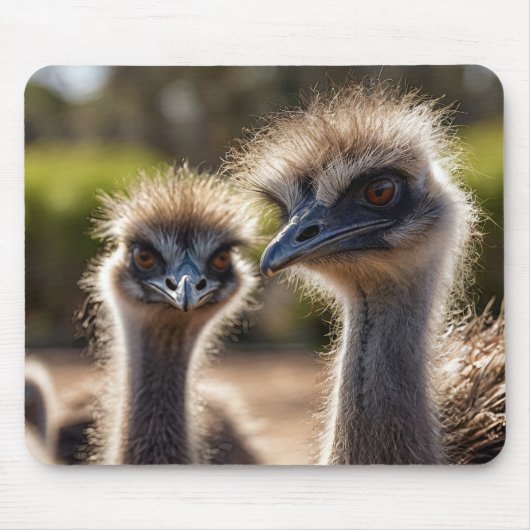 Emu Birds Mouse Pad Mousepad (Vorne)