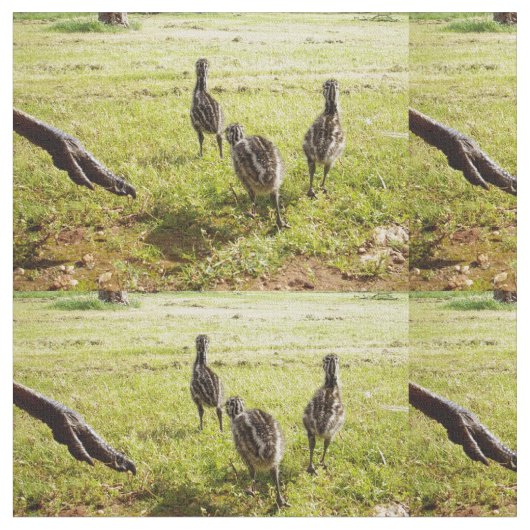 Emu Chicks mit Emu Big Foot, Stoff (Nahaufnahme)