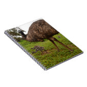 Emu Daddy mit Chicks, Notizblock (Rechte Seite)