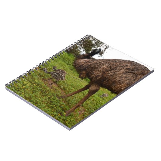 Emu Daddy mit Chicks, Notizblock (Linke Seite)