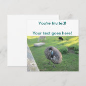 Emu Einladung (Vorne/Hinten)
