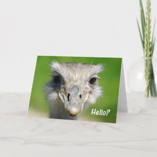 Emu hallo karte