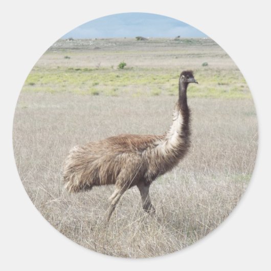 Emu-Handel Runder Aufkleber (Vorderseite)