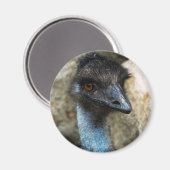 Emu Head Magnet (Vorderseite/Rückseite)