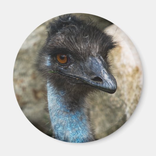 Emu Head Magnet (Vorne)