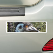 Emu in Australien Autoaufkleber (Auf Auto)