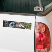 Emu in Australien Autoaufkleber (Auf Lkw)