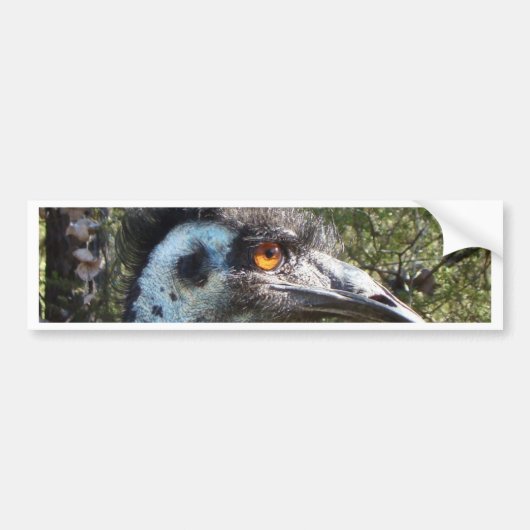 Emu in Australien Autoaufkleber (Vorne)