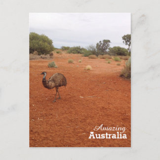 Emu in der australischen Postkarte