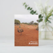 Emu in der australischen Postkarte (Stehend Vorderseite)