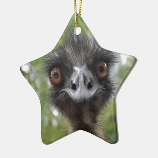 Emu Keramik Ornament (Links)