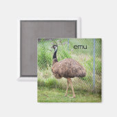 Emu Kühlschrank Magnet (Vorderseite/Rückseite)