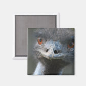 Emu Magnet (Vorderseite/Rückseite)