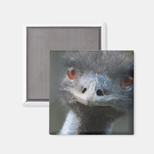 Emu Magnet (Vorderseite/Rückseite)