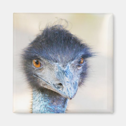 Emu Magnet (Vorne)