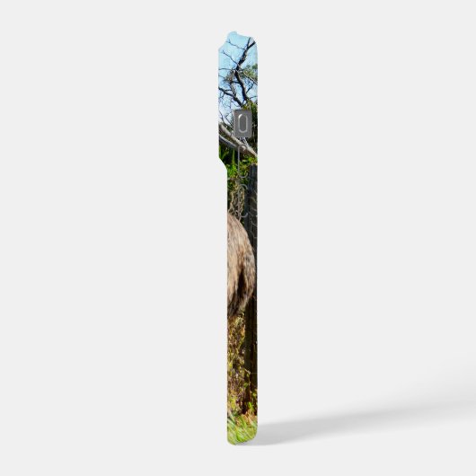 Emu Parents Taking Chicks For Walk, iPhone Hülle (Linke Seite)