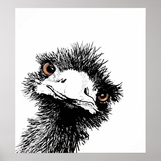Emu - Pen und Ink Poster (Vorne)