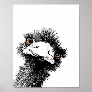 Emu - Pen und Ink Poster
