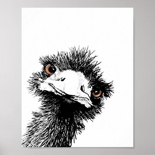 Emu - Pen und Ink Poster (Vorne)