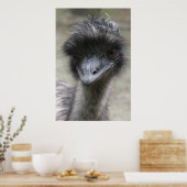 Emu Poster (Küche)