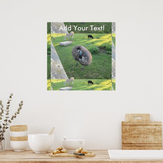 Emu Poster (Küche)
