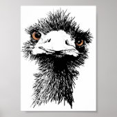 Emu Poster (Vorne)