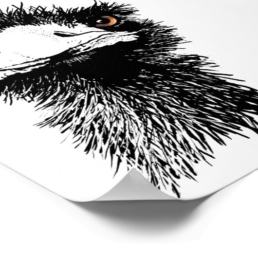 Emu Poster (Ecke)