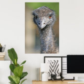 Emu Poster (Heimbüro)
