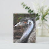 Emu Postkarte (Stehend Vorderseite)