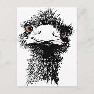 Emu Postkarte