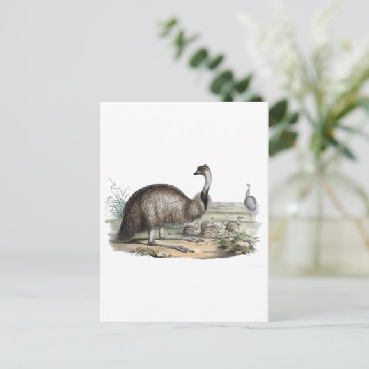 Emu Postkarte (Stehend Vorderseite)