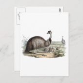 Emu Postkarte (Vorne/Hinten)