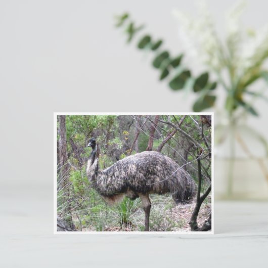 Emu Postkarte (Stehend Vorderseite)
